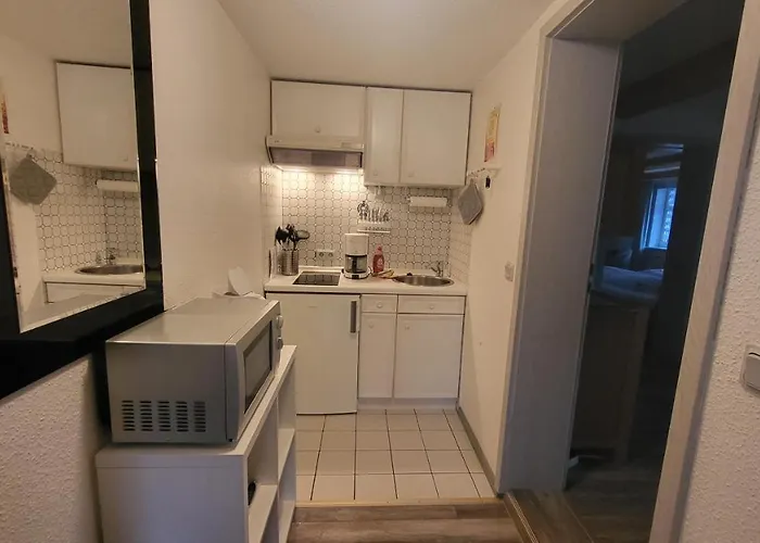 Bocksberg Hahnenklee 公寓 戈斯拉尔