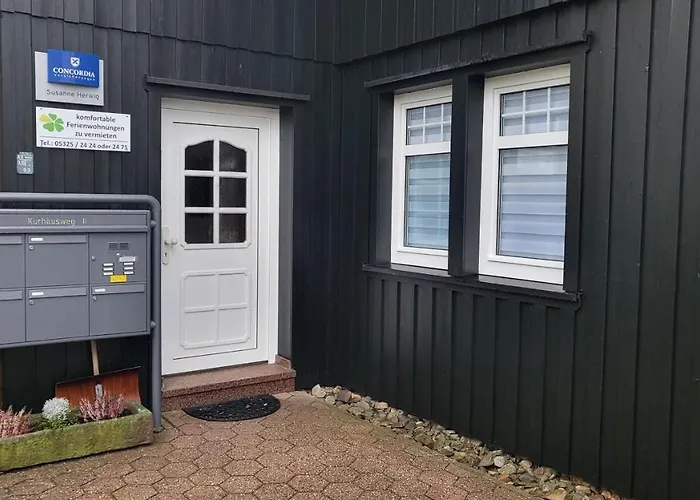 Bocksberg Hahnenklee